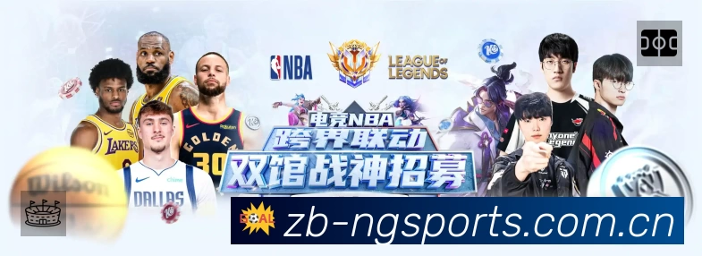 NG体育安全运营支持