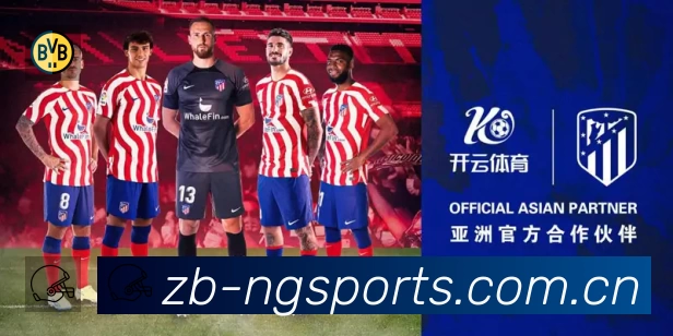 NG体育站内搜索增强